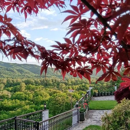 Philoxenia Hotel Paranesti Zewnętrze zdjęcie