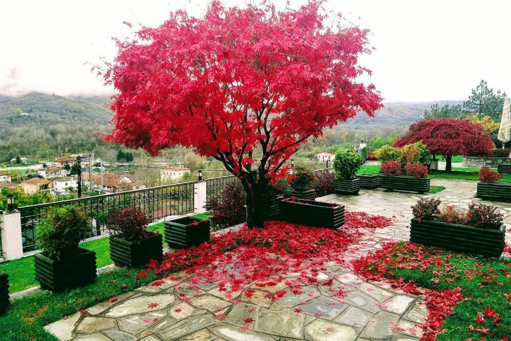 Philoxenia Hotel Paranesti Zewnętrze zdjęcie