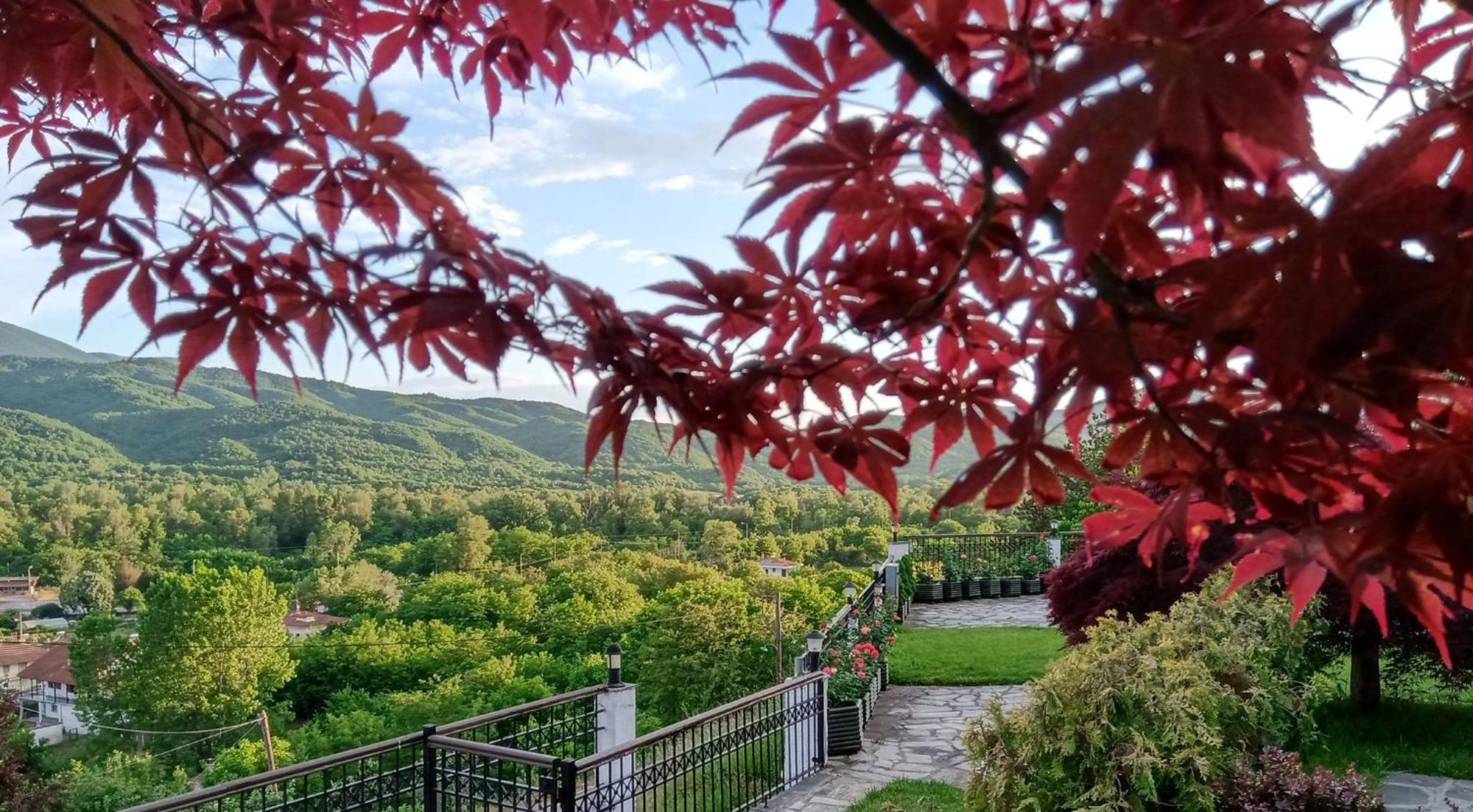 Philoxenia Hotel Paranesti Zewnętrze zdjęcie